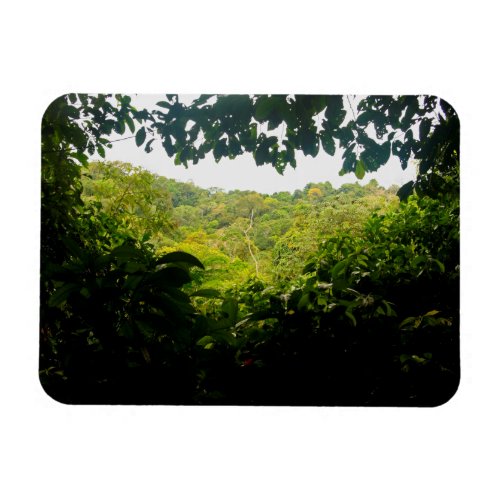 Amazon jungle Ecuador Magnet