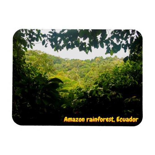 Amazon jungle Ecuador Magnet