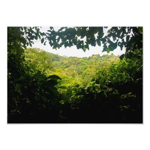 Amazon jungle photo print