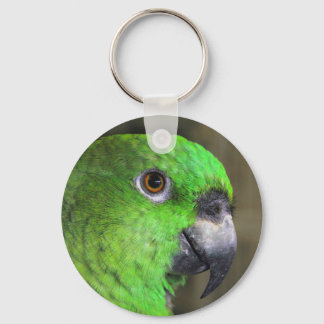 amazon keychain