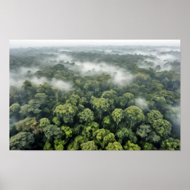 Amazon Landscape Serene Majestic Nature Morning  Poster (Front)