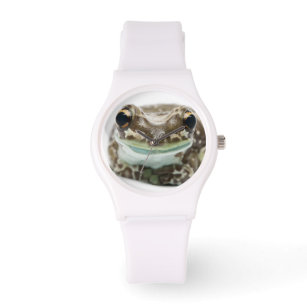Amazon Milk Frog - Trachycephalus Resinifictrix Watch