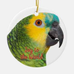Yellow Fronted Amazon Ornament 