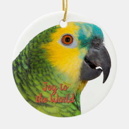 Amazon Parrot Ceramic Ornament