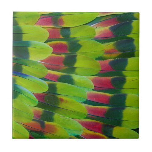 Amazon Parrot Green Feather Design Tile