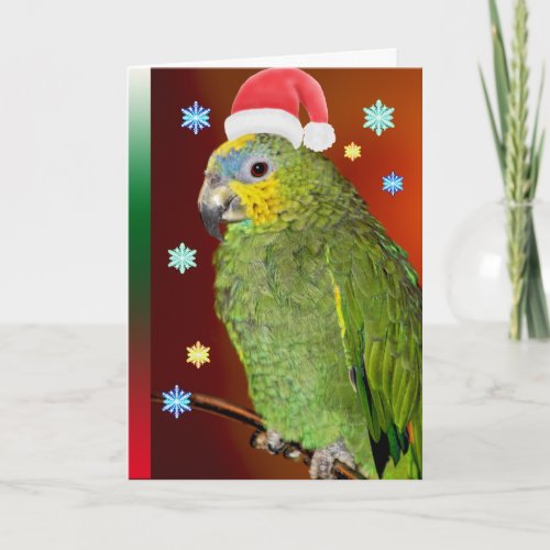 Amazon Parrot Santa Claus Holiday Card