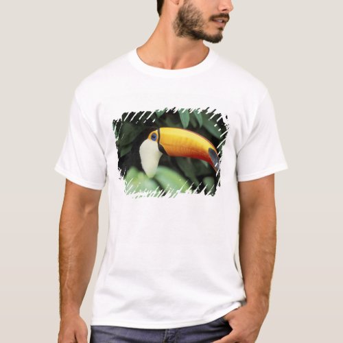 Amazon Rain Forest T_Shirt