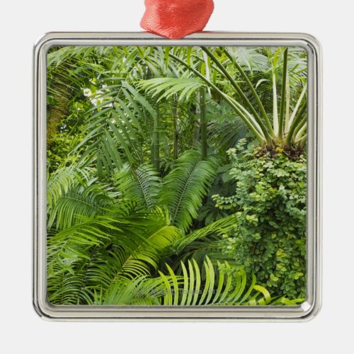 Amazon Rainforest Amazonia Brazil 2 Metal Ornament