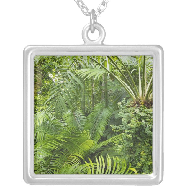 Amazon Rainforest, Amazonia, Brazil 2 Silver Plated Necklace (Front)