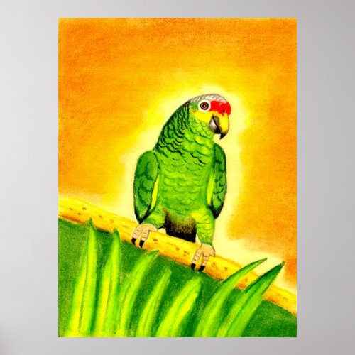 Amazon Red Lored Parrot Bird Portrait Poster