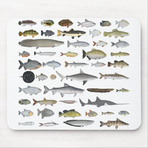 Amazon River Basin Fish Group Mouse Pad