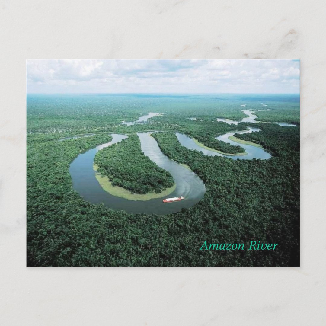 Amazon River Postcard Zazzle