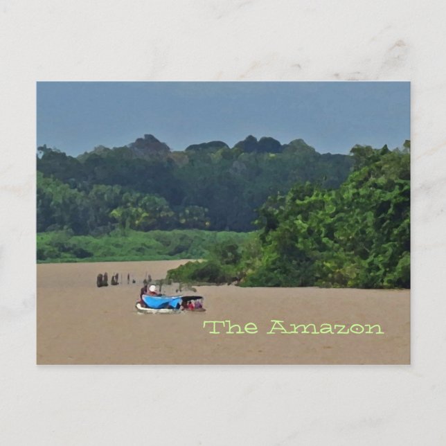Amazon River Scene  Postcard (Front)