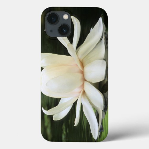 Amazon Water Lily Victoria Amazonica Flower iPhone 13 Case