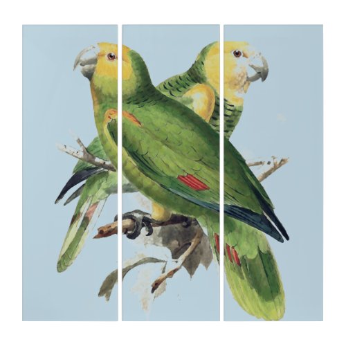 Amazona Parrots _  vintage birds in light blue Triptych