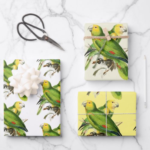 Amazona Parrots _  vintage birds Wrapping Paper Sheets