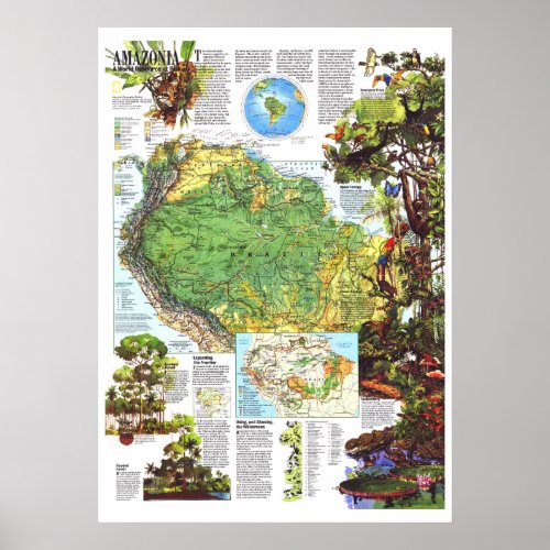  Amazonia 1992 A World Resource At Risk MAP  Poster