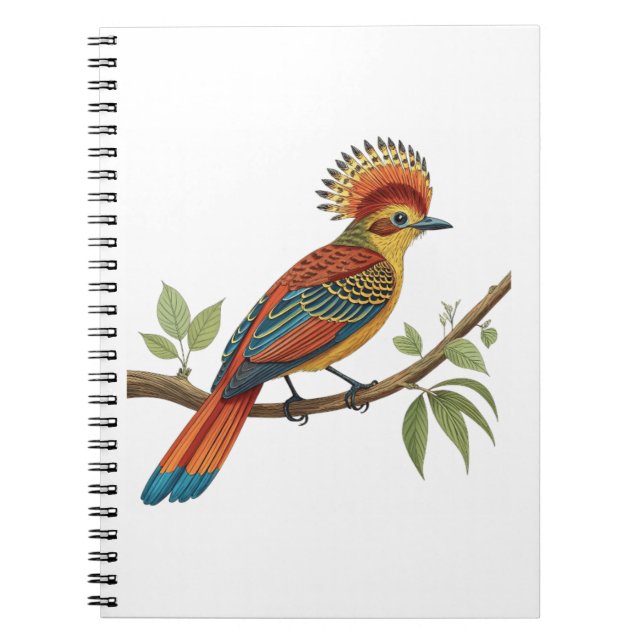 Amazonian Royal Flycatcher Notebook (Front)