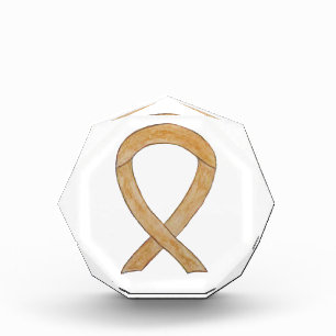 Amber Awareness Ribbon Art Paperweight Award 