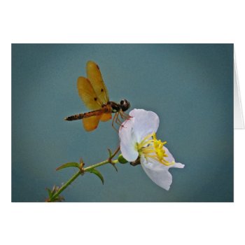 Amber Dragonfly On Wildflower Note Cards by debinSC at Zazzle