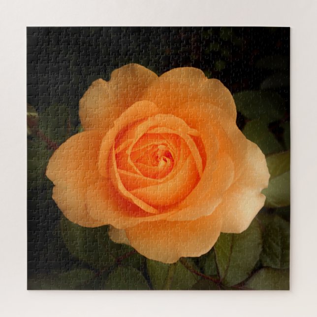 Amber Flush Rose Jigsaw Puzzle (Vertical)