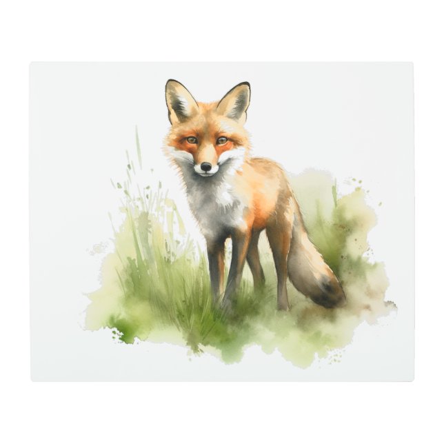 Amber Gaze: Meadow Fox, custom Metal Print (Front)