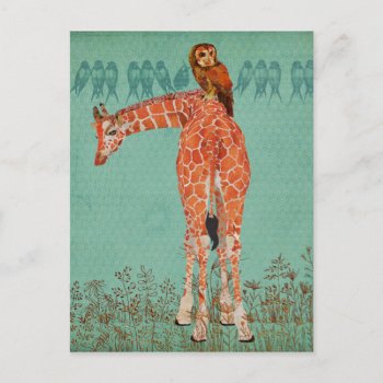 Amber Giraffe & Owl Feathers Postcard by Greyszoo at Zazzle