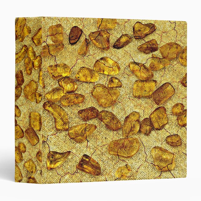 Amber inclusions | binder (Front/Spine)