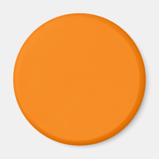 Amber (SAE/ECE) (solid color)  Magnet (Front)