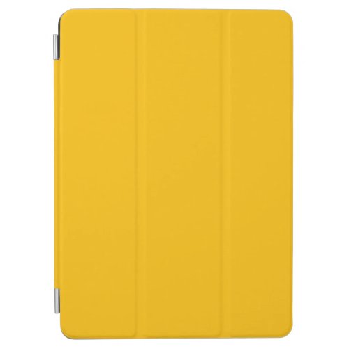 Amber	 solid color  iPad air cover