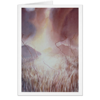 Amber Storm Field III Cards