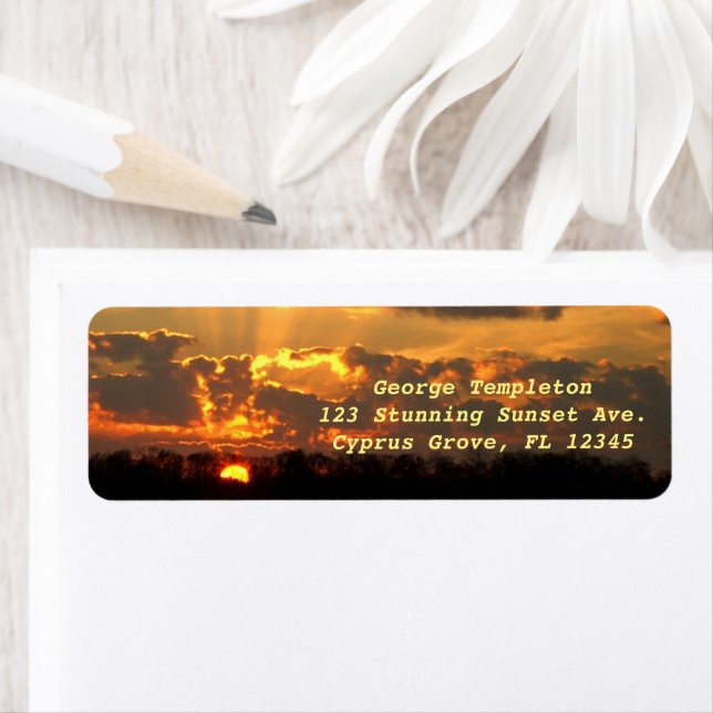 Amber Sunset Over Florida Cypress Grove Everglades Label (Insitu)