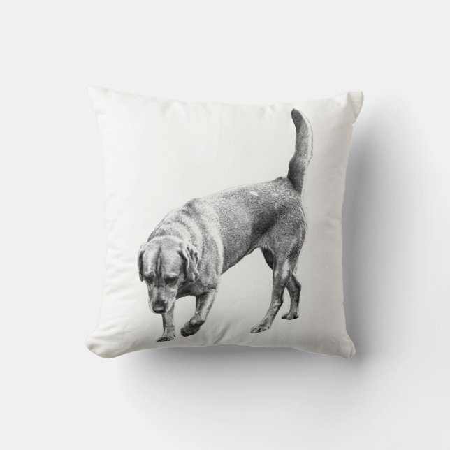 Amber Twilight Watcher Throw Pillow (Front)