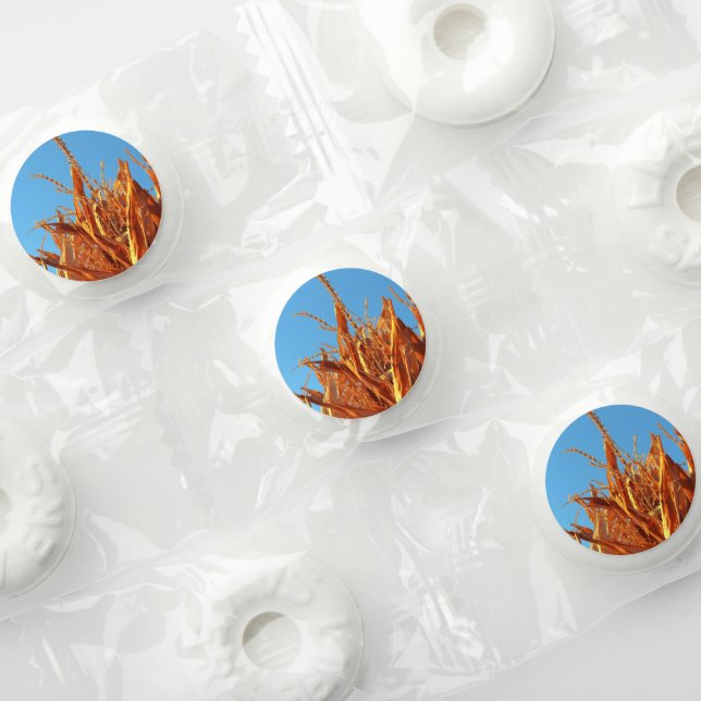 Amber Waves  Life Saver® Mints (Assorted)