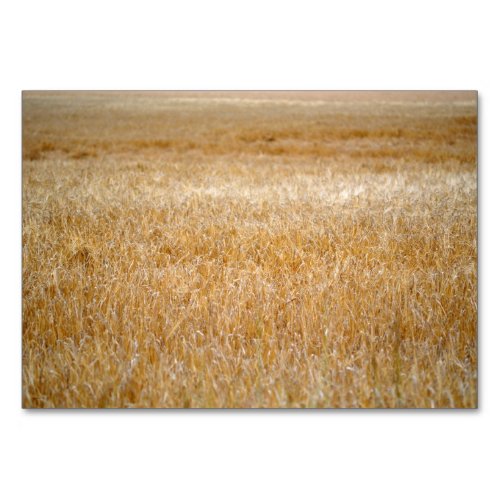 Amber Waves of Grain Table Number