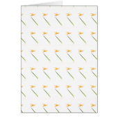 Amber-wings all around (Front)