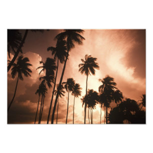 Ambergris Caye, Belize, Central America. 2 Photo Print