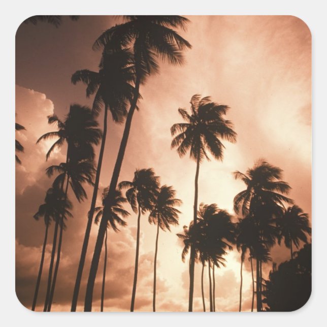 Ambergris Caye, Belize, Central America. 2 Square Sticker (Front)