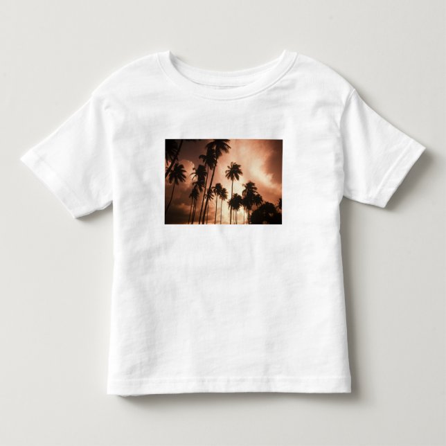 Ambergris Caye, Belize, Central America. 2 Toddler T-shirt (Front)