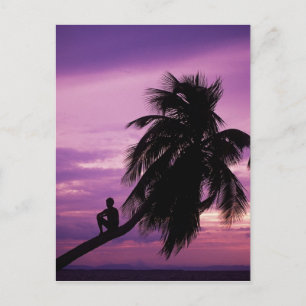 Ambergris Caye, Belize, Central America. Postcard