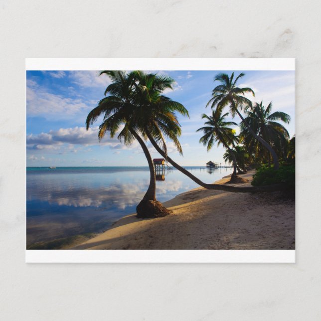 Ambergris Caye Belize Postcard (Front)