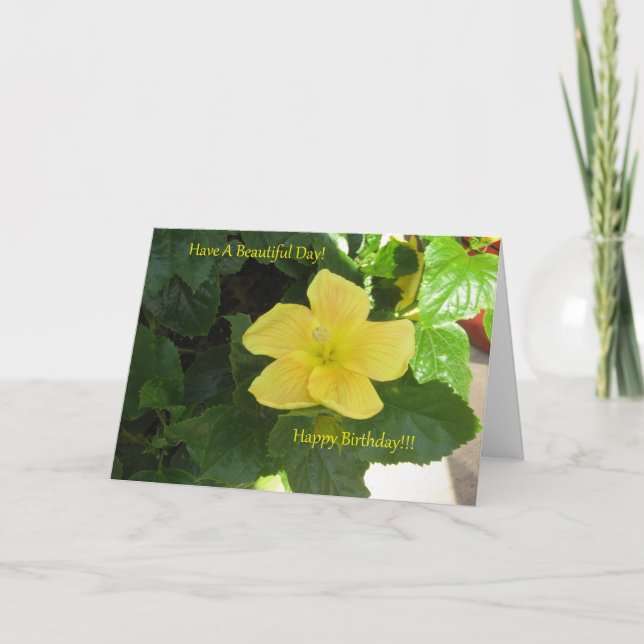 Ambers Yellow Hibiscus Birthday Card (Front)