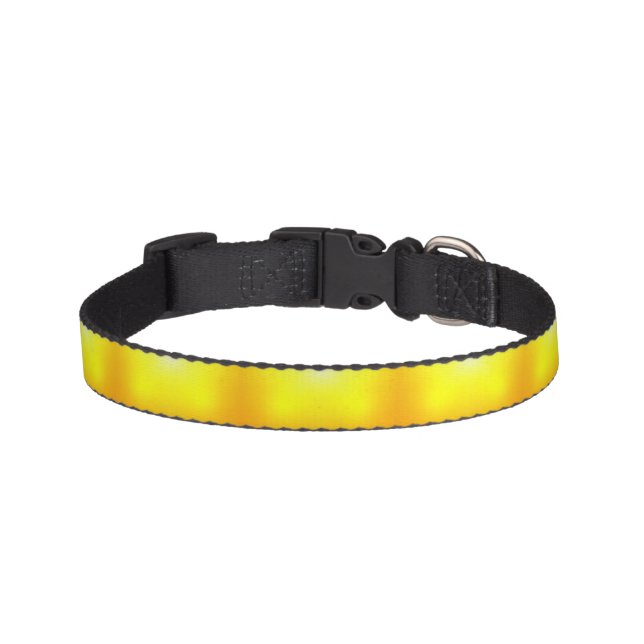 Amberwake Pet Collar (Front)