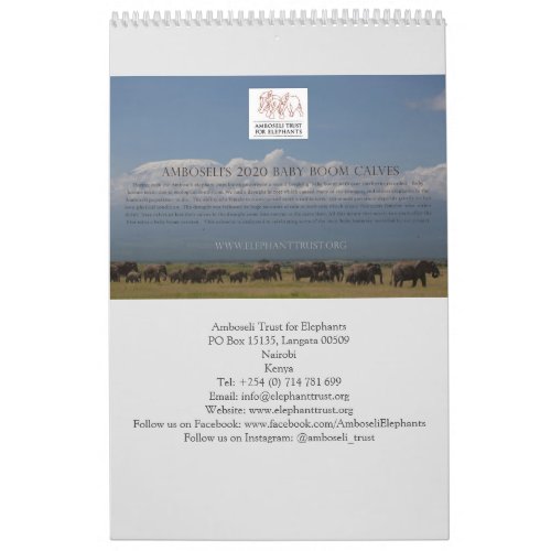 Amboseli Trust for Elephants baby boom calendar