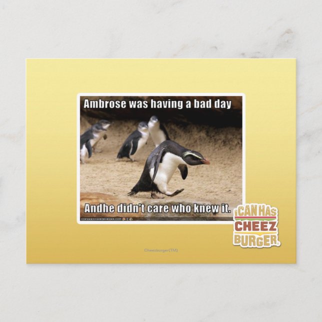 Ambrose was having a bad day postcard (Front)