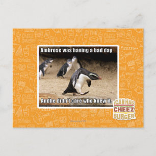 Ambrose was having a bad day postcard