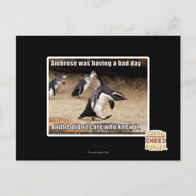 Ambrose was having a bad day postcard (Front)