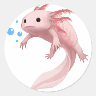 Ambystoma Mexicanum Cute Axolotl Teens Toddler Kid Classic Round Sticker