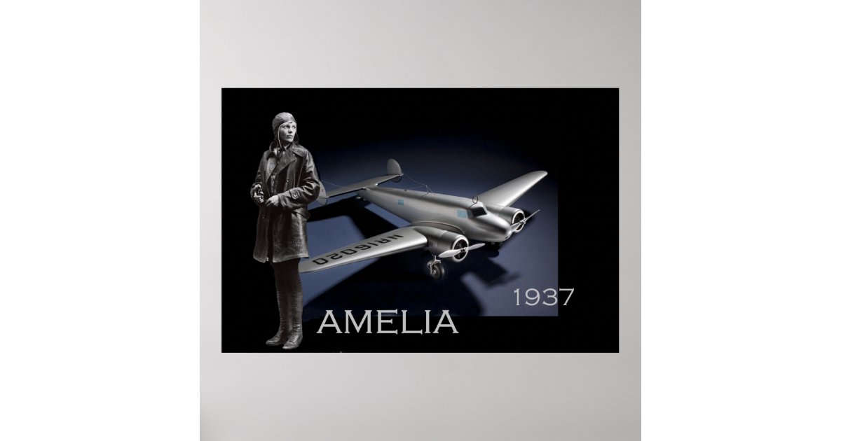 Airplane Print Throw Pillow - Amelia Aviation