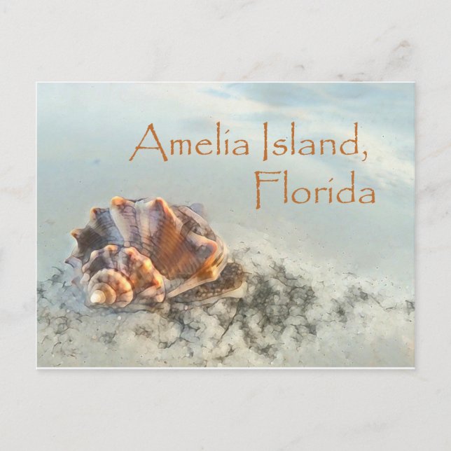 Amelia Island, FL Seashell Postcard (Front)
